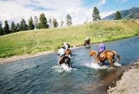 Crossing Soda Butte Creek