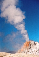 Yellowstone Geyser