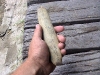 yellowstonewrangler-31
