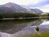 yellowstonewrangler-36