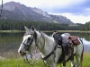 yellowstonewrangler-37