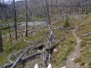 yellowstonewrangler-40