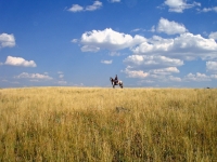 yellowstonewrangler-59