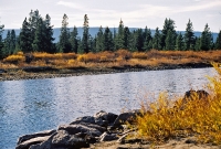 Fall scenery near Yellowstone National Park